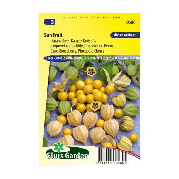 SL0580 Cape Gooseberry Sun Fruit
