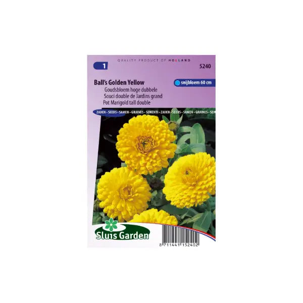 SL5240 Pot Marigold tall double Ball’s Golden Yellow