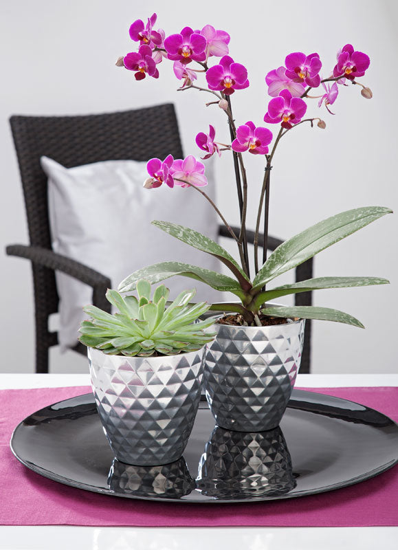 60474 832/16 Mirror Silver Cover pot