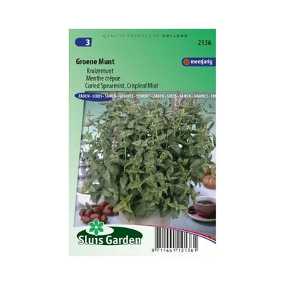 SL2136 Curled Spearmint