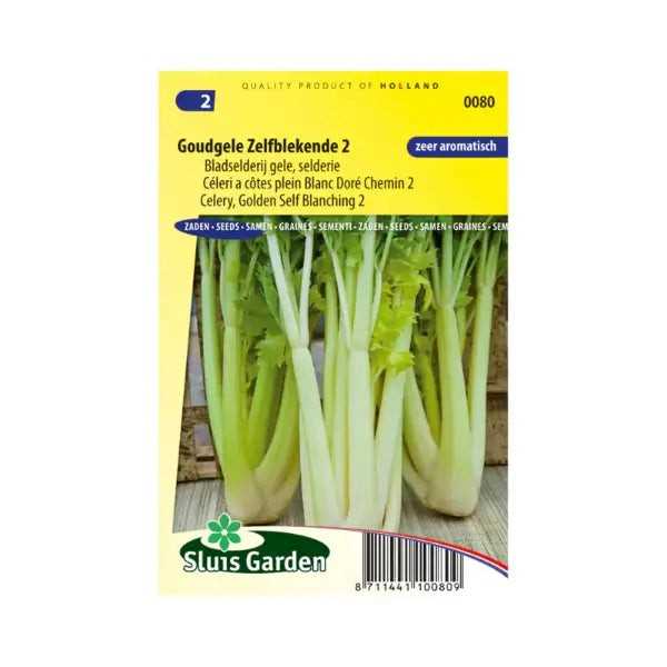 SL0080 Celery Golden Self Blanching 2