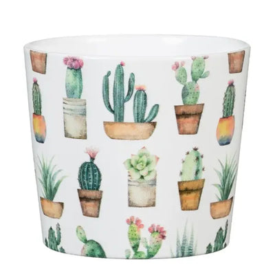 61877 870/07 TD.COVER-POT 92T. CACTUS GARDEN