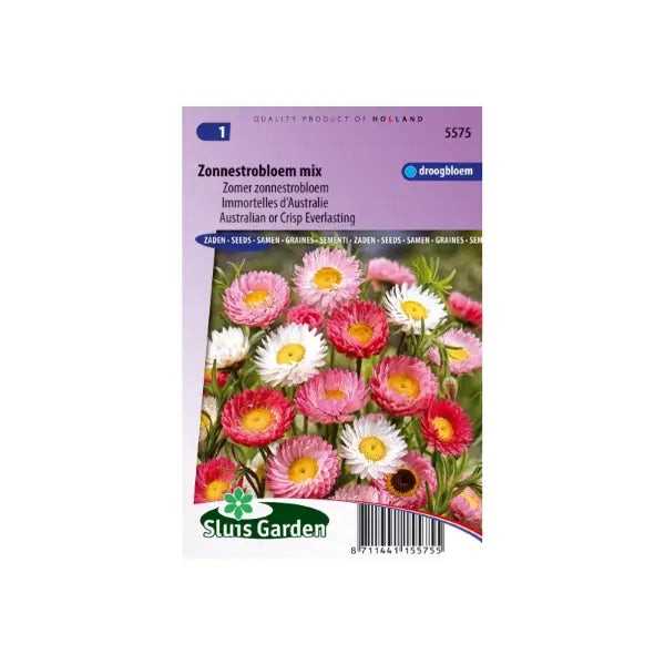 SL5575 Australian or Crisp Everlasting mix