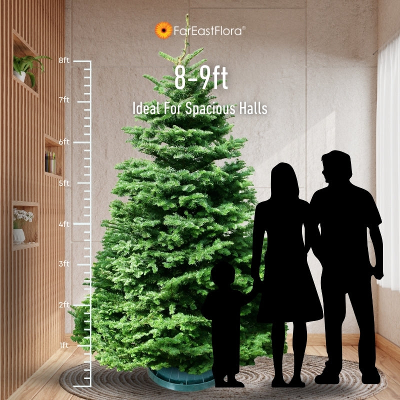 Christmas Tree - USA Noble Fir (8 - 9 ft) with Tree Stand