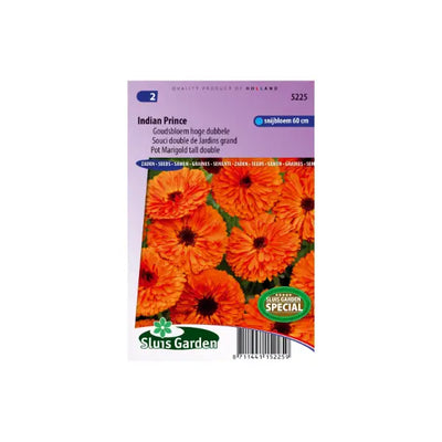 SL5225 Pot Marigold tall double Indian Prince