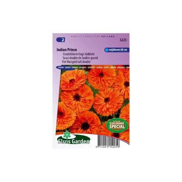 SL5225 Pot Marigold tall double Indian Prince