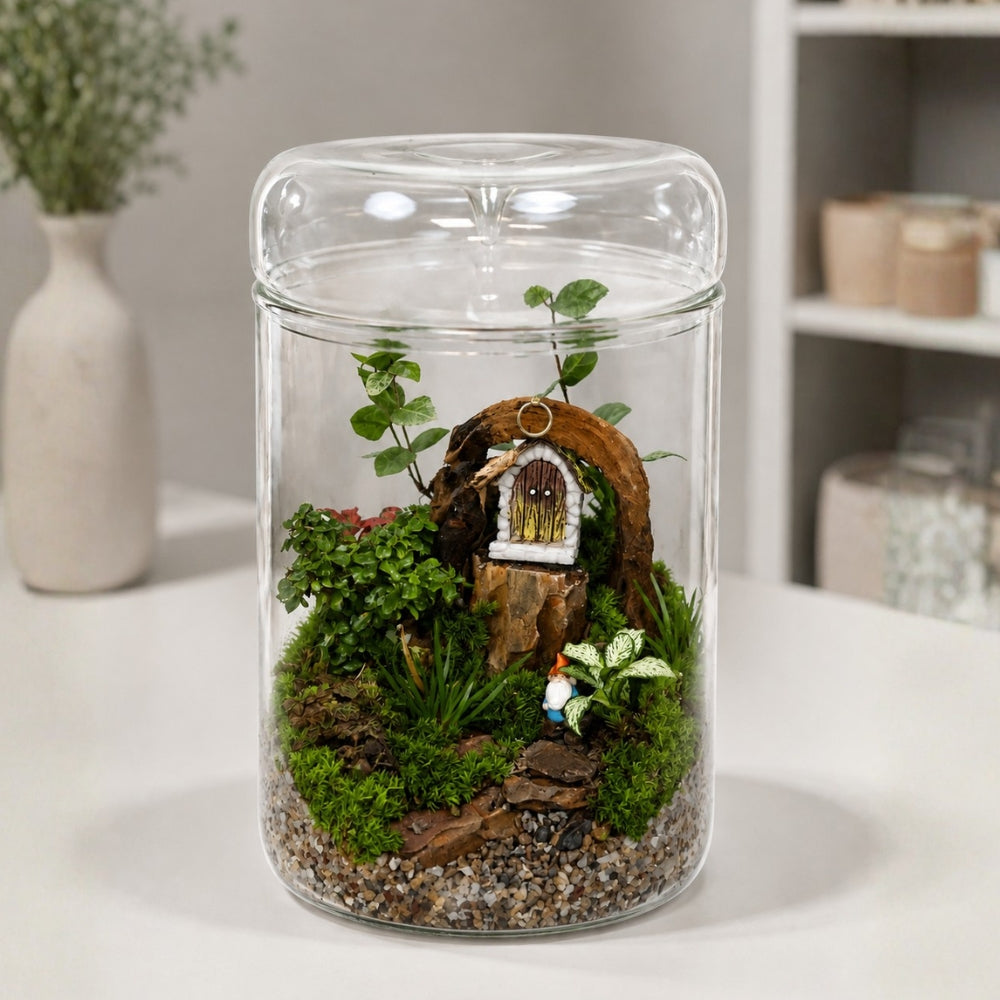 Living Art Terrarium Intermediate
