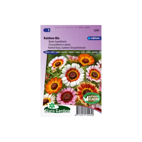 SL5295 Painted Daisy Rainbow Mix