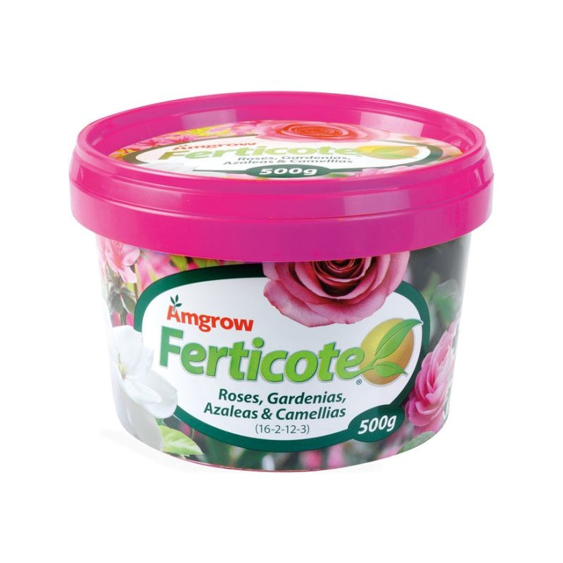 Amgrow Ferticote Rose, Gardenia, Azalea & Camellia 500g