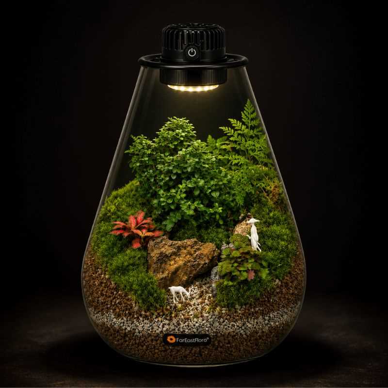 TERRARIUM ARRANGEMENT S/O $139.90