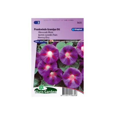 SL5635 Morning Glory Grandpa Ott