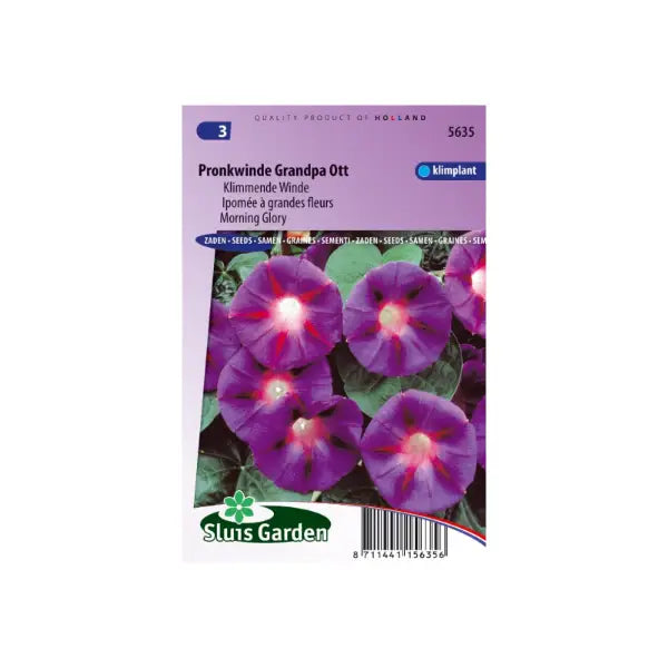 SL5635 Morning Glory Grandpa Ott