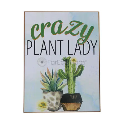 STUDIO WALL ART CRAZY PLANT LADY 24X32cm (SF)