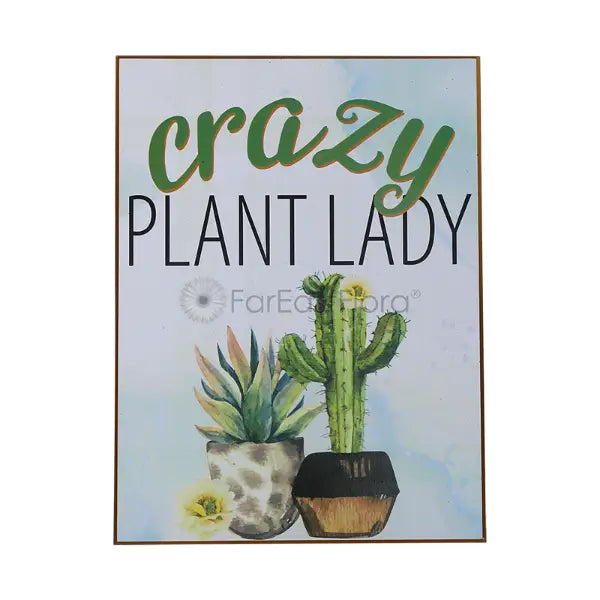 STUDIO WALL ART CRAZY PLANT LADY 24X32cm (SF)