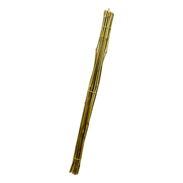Bamboo Stick (Natural)