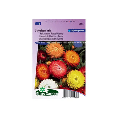 SL5565 Strawflower double flowering mix