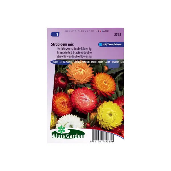 SL5565 Strawflower double flowering mix