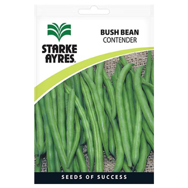 B4410 BUSH BEAN CONTENDER Vegetable Seeds