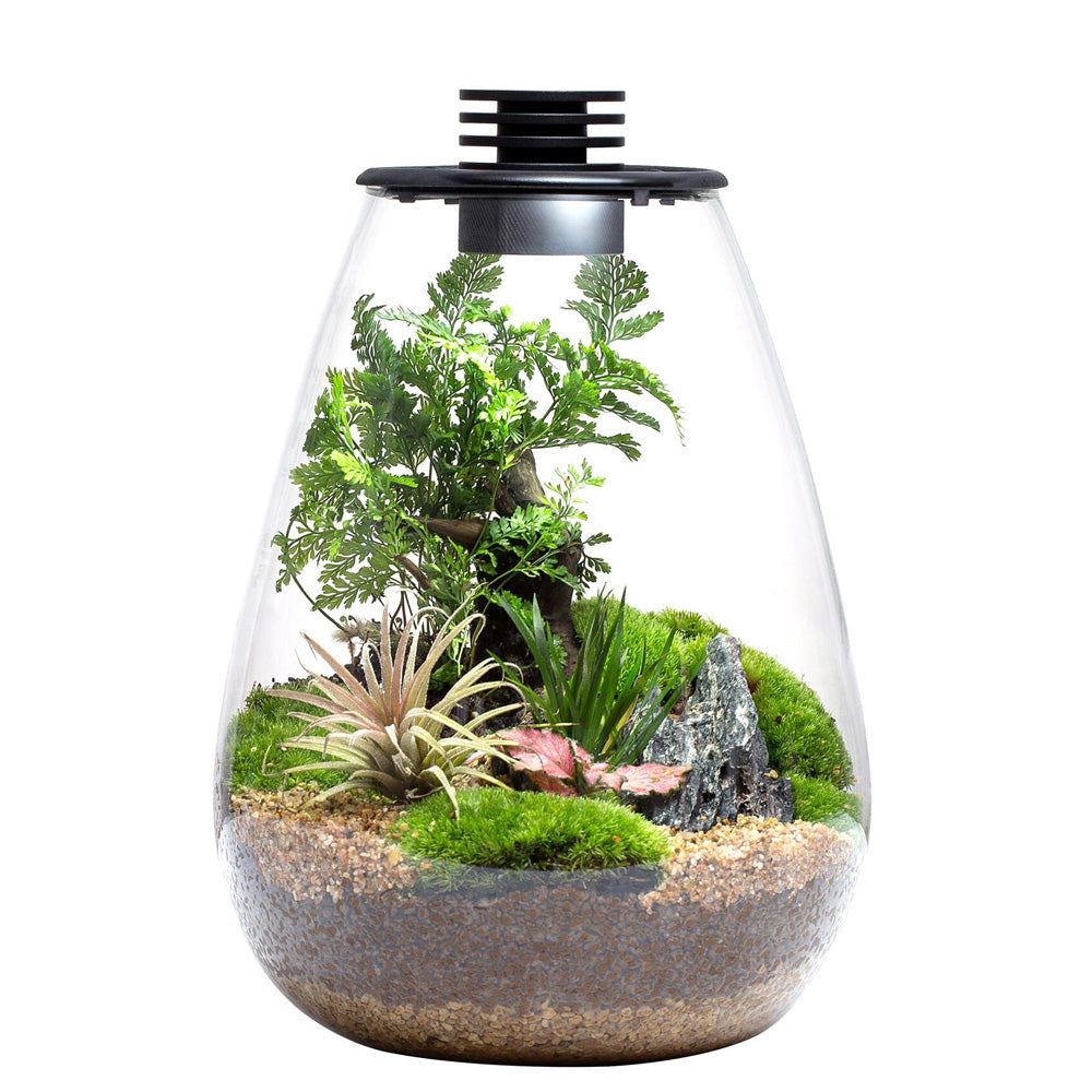 BIOLOARK BIO BOTTLE SD175 175*230MM 3W LED 5V/1A