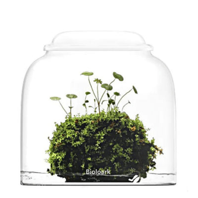 BIOLOARK BUBBLE CUP 1 120*117MM (TB)