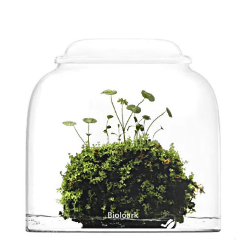BIOLOARK BUBBLE CUP 1 120*117MM (TB)