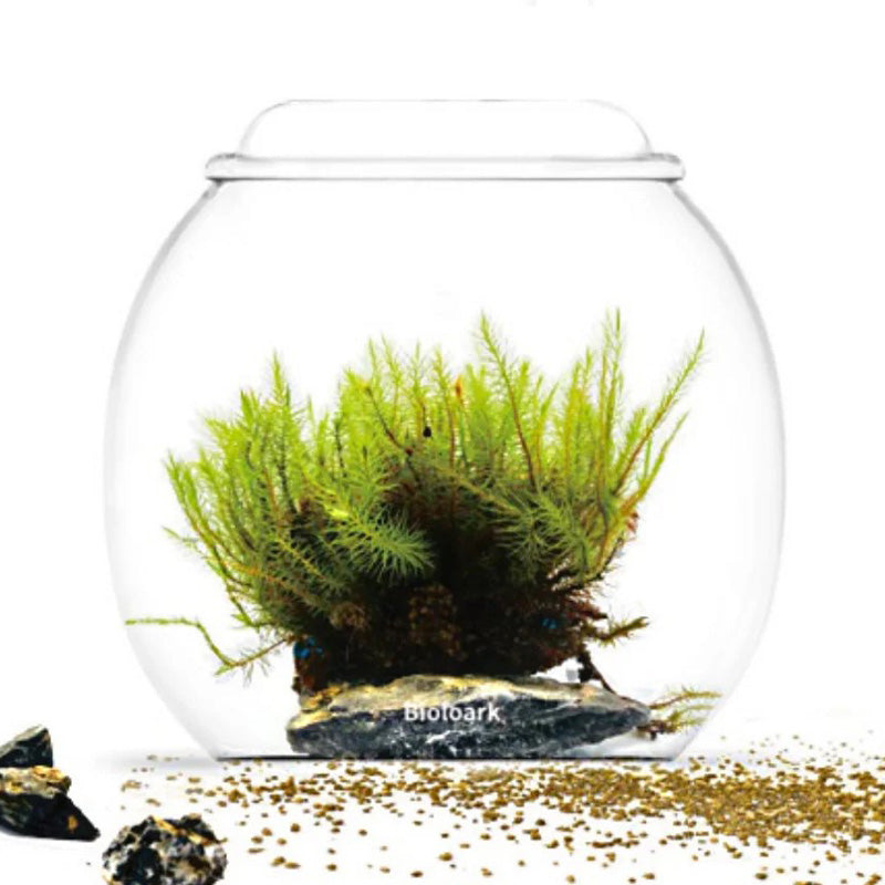 BIOLOARK BUBBLE CUP 3 120*117MM (TB)