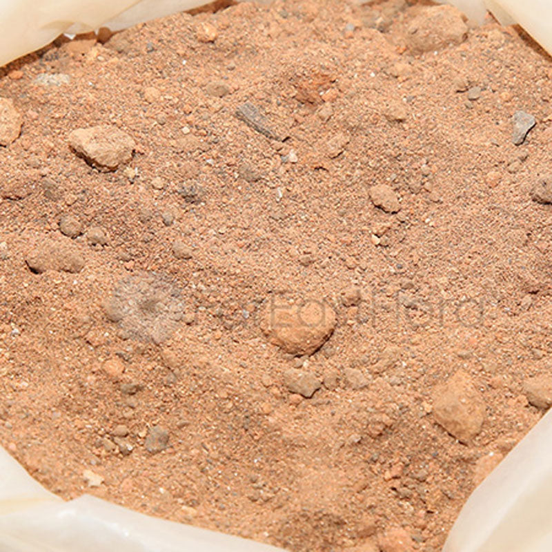 Burnt Soil