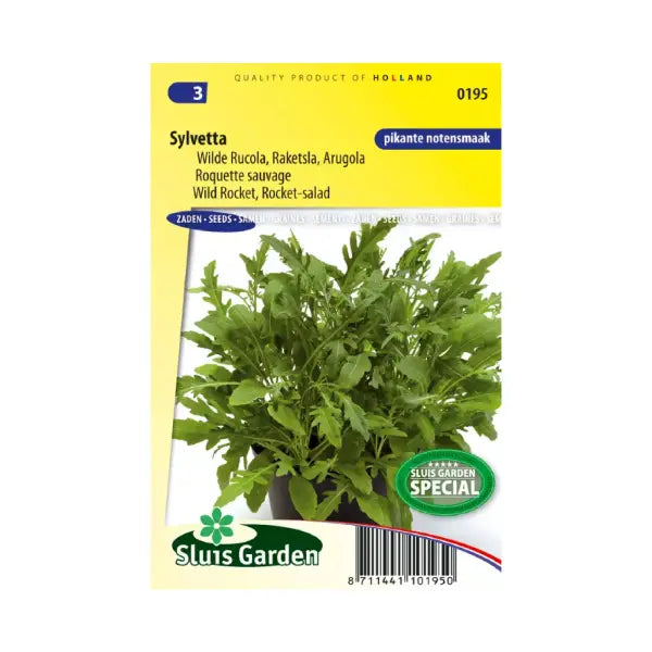 SL0195 Wild Rocket-salad Sylvetta