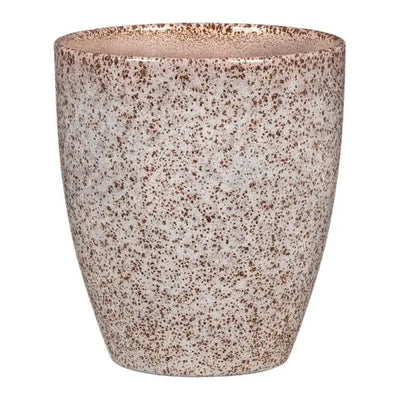 65503 620/15 Orchid pot Roccia