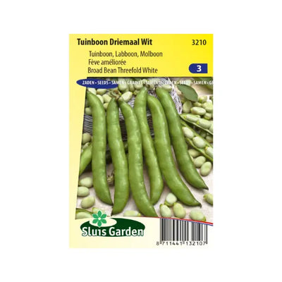SL3210 Broad Bean Threefold White
