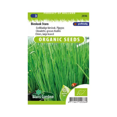 SL2036 Chives large leaved Staro  BIO