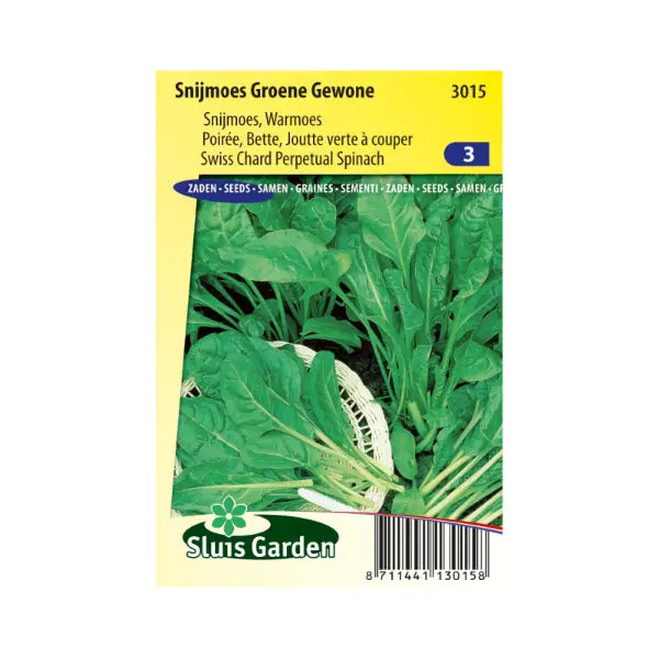 SL3015 Swiss Chard Perpetual Spinach Groene Gewone