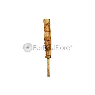 COCO POLE 2FT