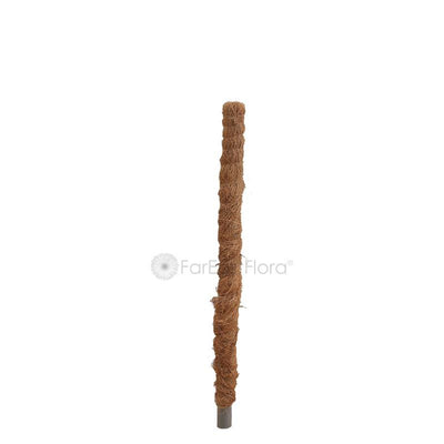 COCO POLE 2FT
