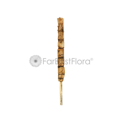 Coco Pole alt (3ft)