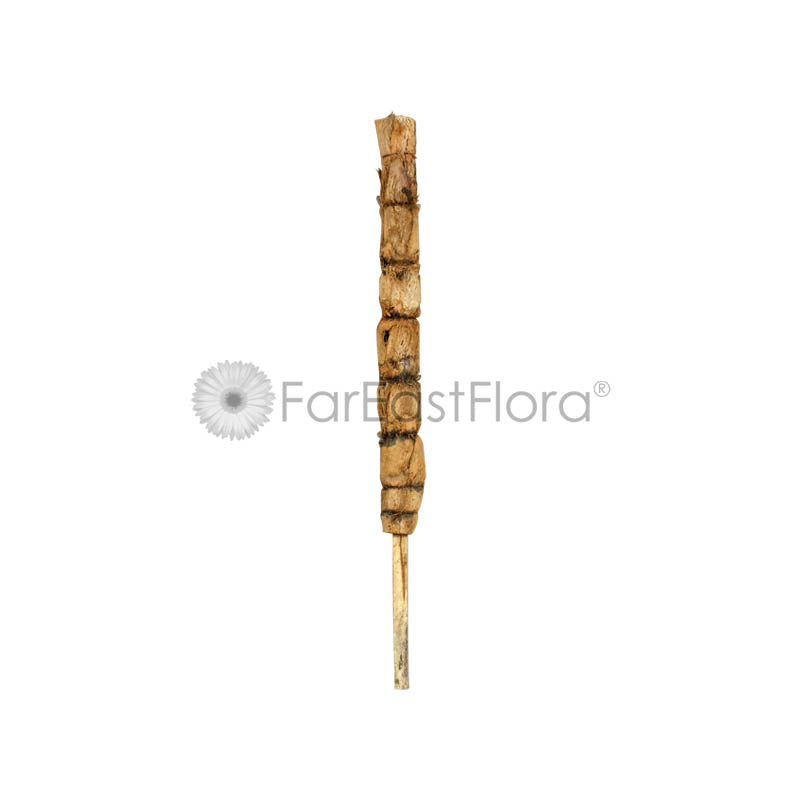 Coco Pole alt (3ft)