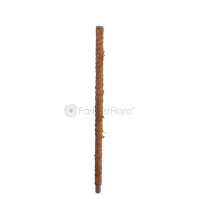 Coco Pole (3ft)