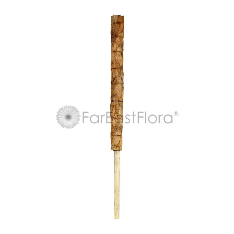 Coco Pole alt (4ft)