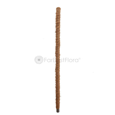 Coco Pole (4ft)