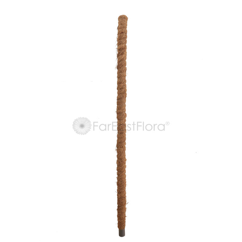 Coco Pole (4ft)