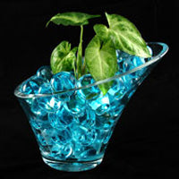 Crystal-Soil in vase
