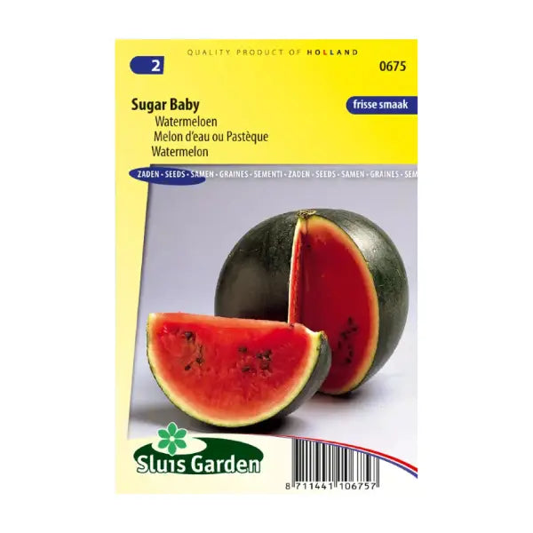 SL0675 Watermelon Sugar Baby