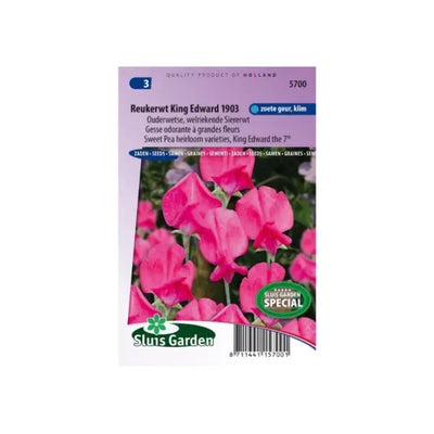 SL5700 Sweet Pea od. Grandifl. King Edward the 7th