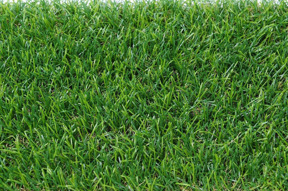 Artificial Carpet Grass