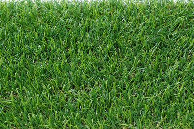 Artificial Carpet Grass