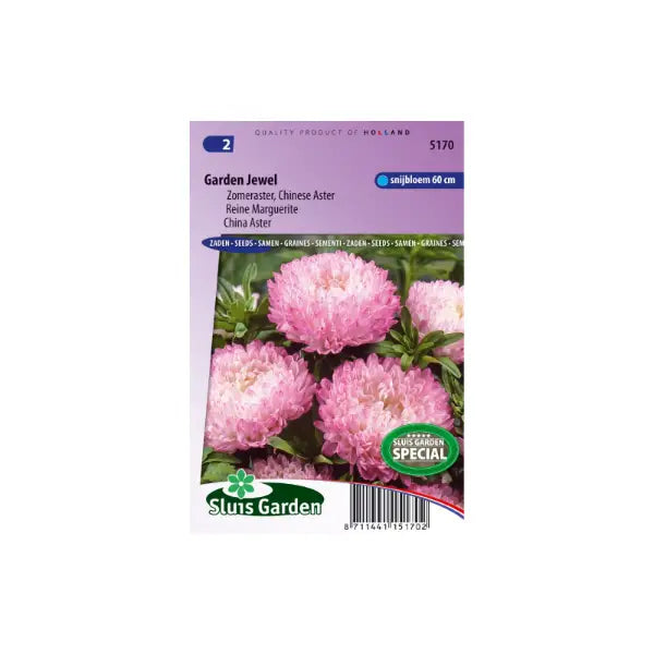 SL5170 China Aster Garden Jewel