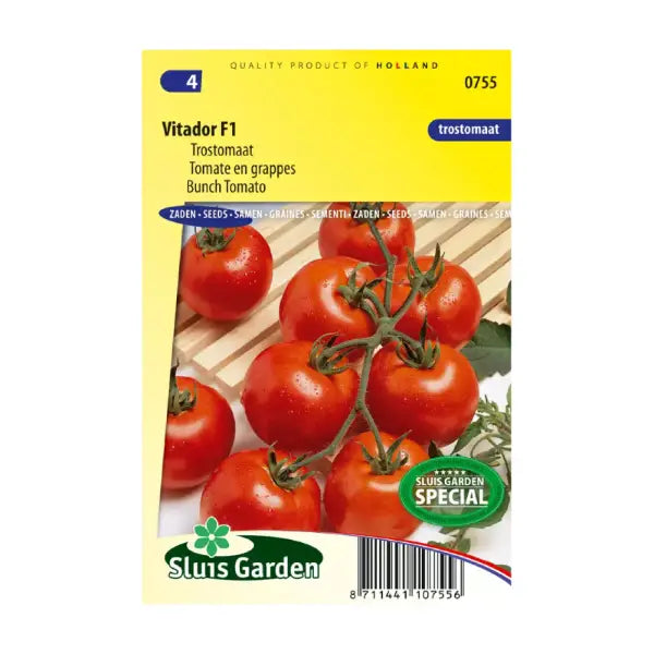SL0755 Bunch Tomato Vitador F1