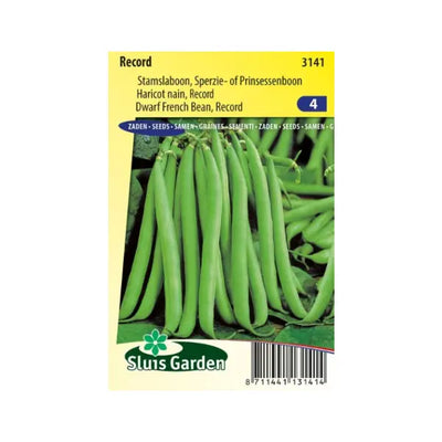 SL3141 Dwarf French Bean Record (improved Flandria)