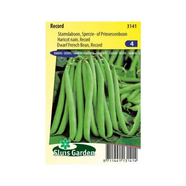 SL3141 Dwarf French Bean Record (improved Flandria)
