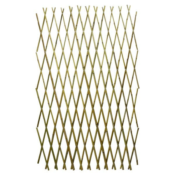 Expandable Trellis